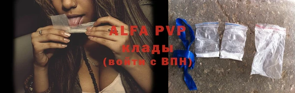 крисы Зеленокумск