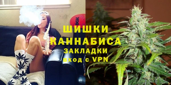 крисы Зеленокумск