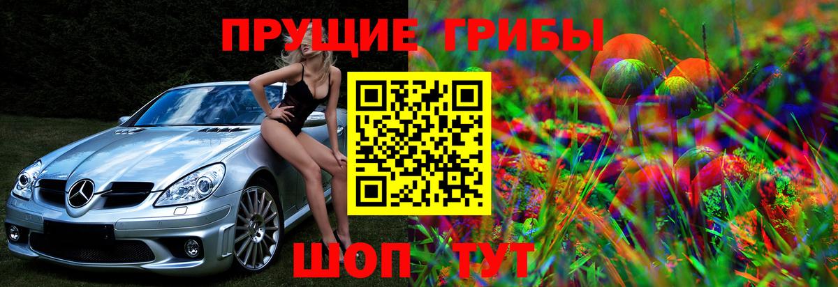 Протвино  Псилоцибиновые грибы Psilocybe  Вход с VPN 