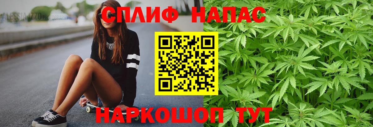 Конопля тримм  Вход с VPN  Шишки марихуана планчик  Марихуана семена  Протвино 